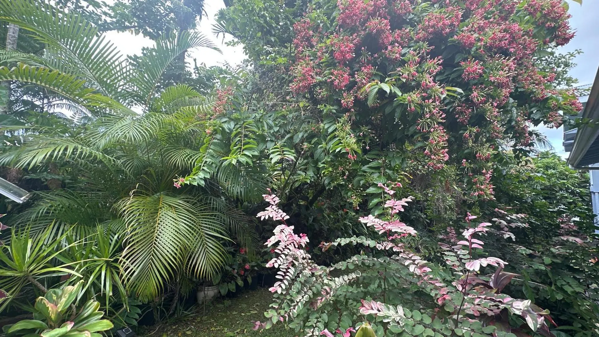 Hawaiian Ohana Home Hilo