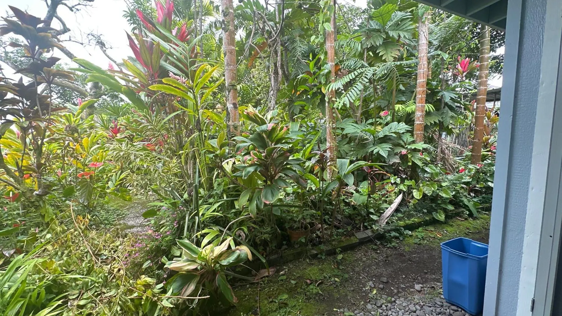 Hawaiian Ohana Home Hilo Stati Uniti