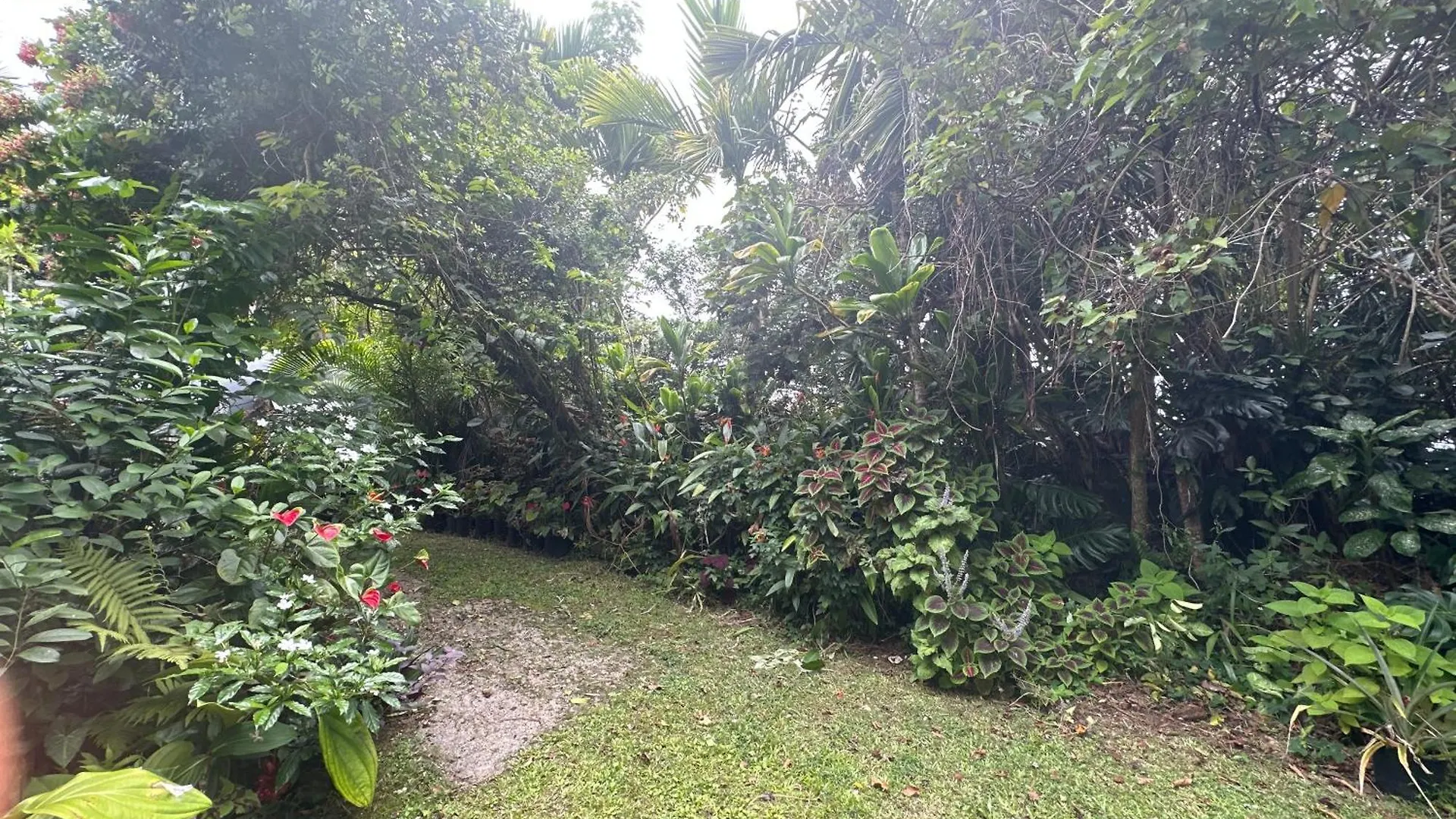 Hawaiian Ohana Home Hilo 0*,  Stati Uniti