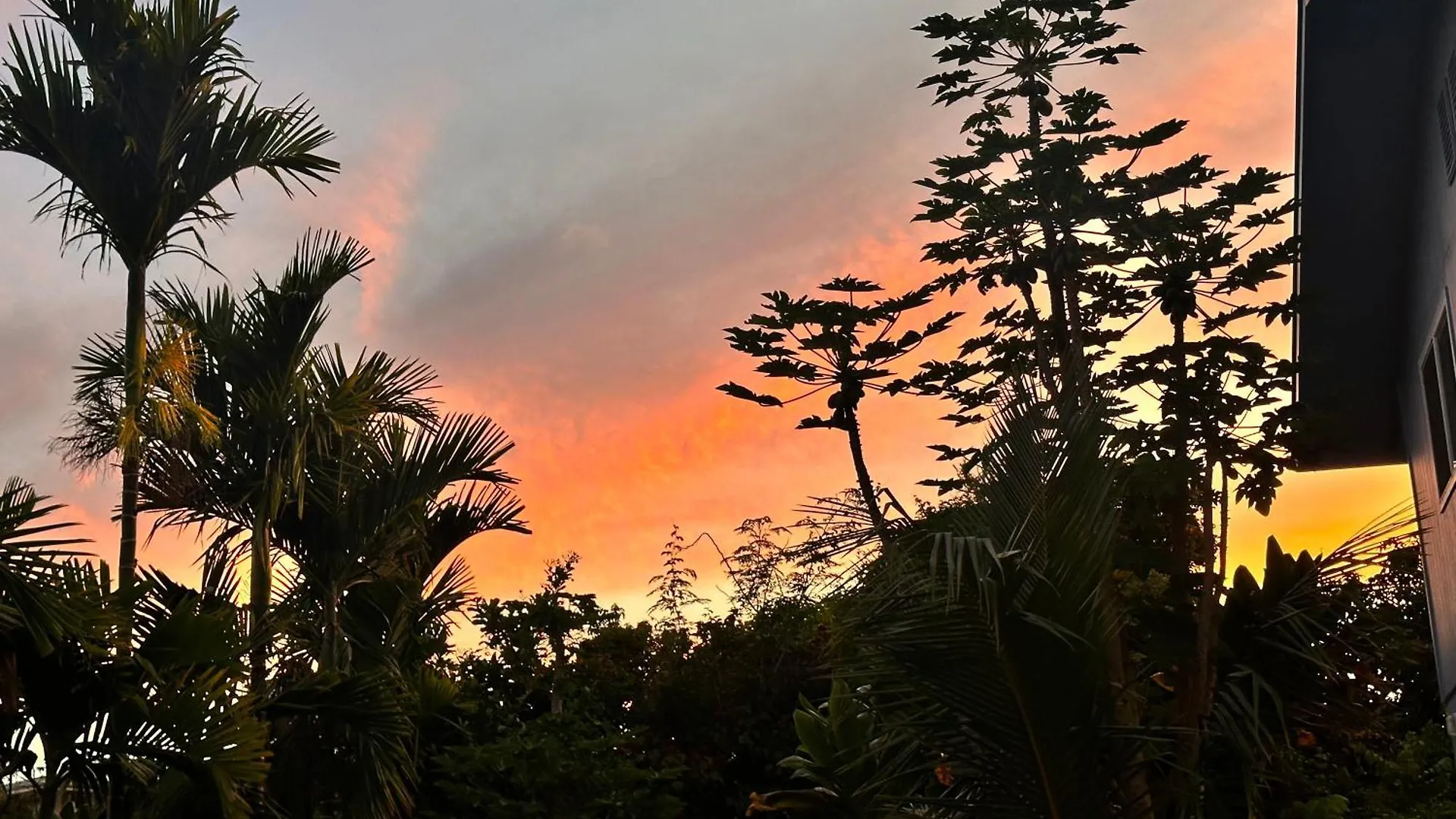 Hawaiian Ohana Home Hilo Stati Uniti